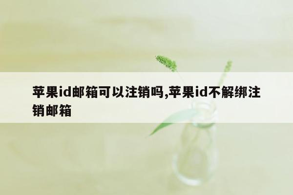 苹果id邮箱可以注销吗,苹果id不解绑注销邮箱