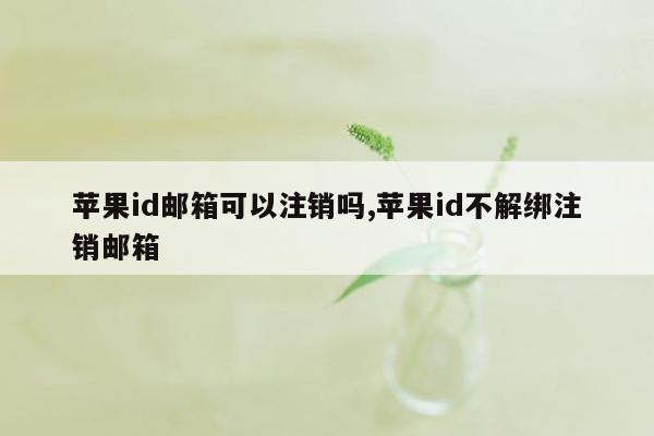 苹果id邮箱可以注销吗,苹果id不解绑注销邮箱