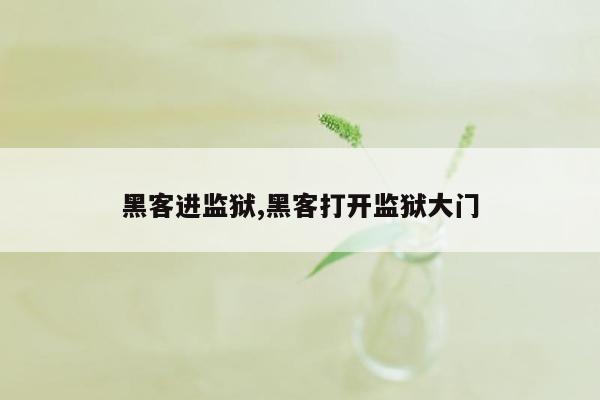 黑客进监狱,黑客打开监狱大门