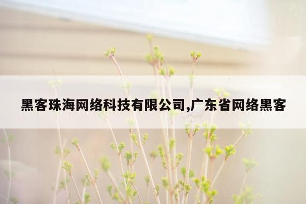 黑客珠海网络科技有限公司,广东省网络黑客