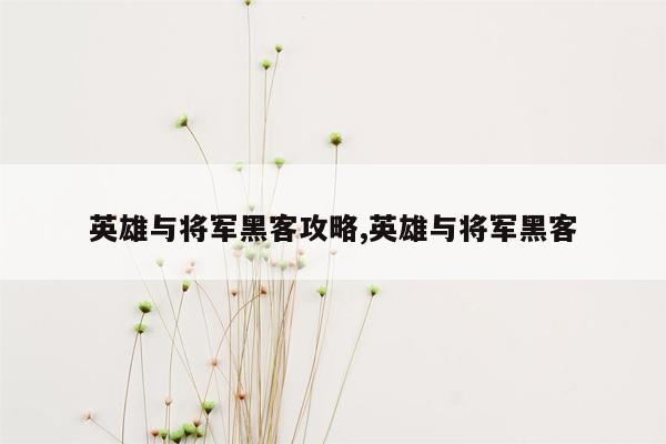 英雄与将军黑客攻略,英雄与将军黑客