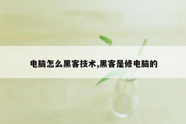 电脑怎么黑客技术,黑客是修电脑的