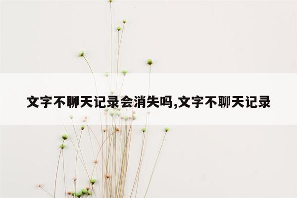 文字不聊天记录会消失吗,文字不聊天记录