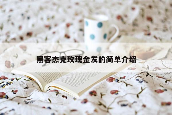 黑客杰克玫瑰金发的简单介绍