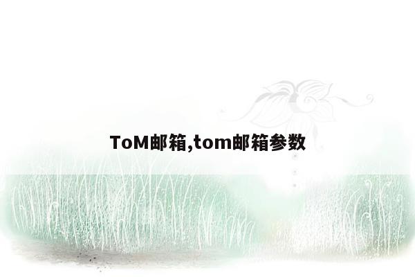 ToM邮箱,tom邮箱参数