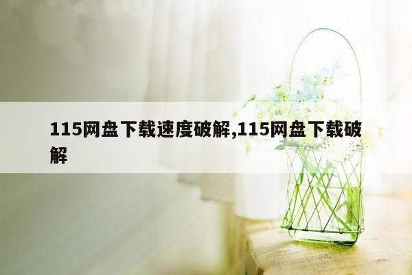 115网盘下载速度破解,115网盘下载破解