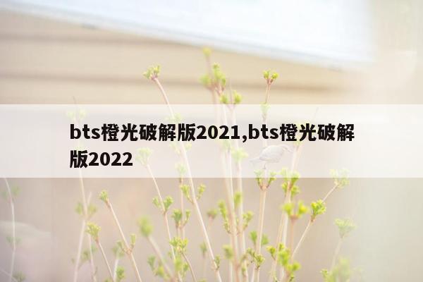 bts橙光破解版2021,bts橙光破解版2022