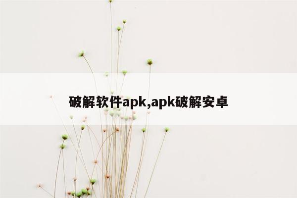 破解软件apk,apk破解安卓