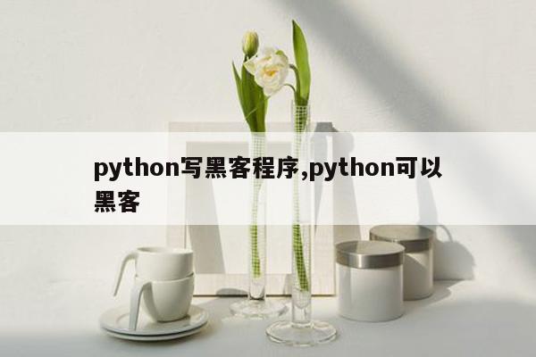 python写黑客程序,python可以黑客