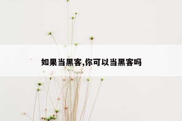 如果当黑客,你可以当黑客吗