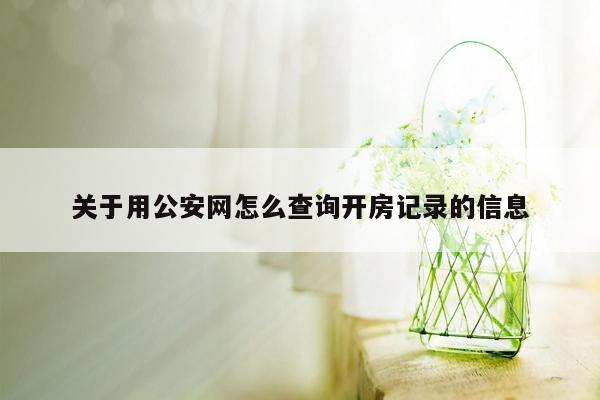 关于用公安网怎么查询开房记录的信息