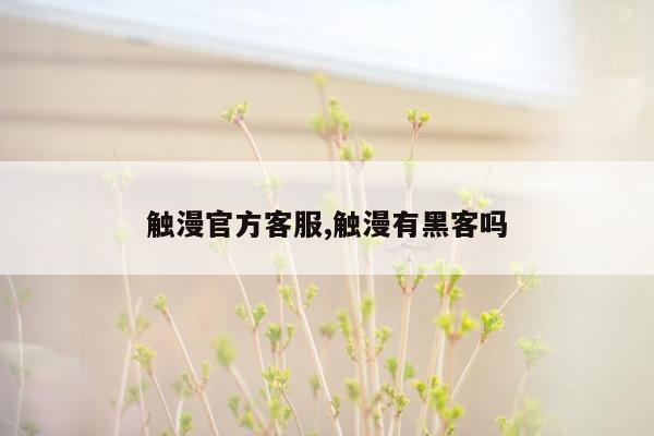 触漫官方客服,触漫有黑客吗