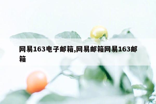 网易163电子邮箱,网易邮箱网易163邮箱