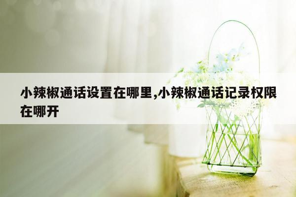 小辣椒通话设置在哪里,小辣椒通话记录权限在哪开