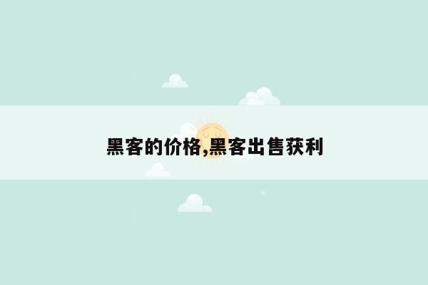 黑客的价格,黑客出售获利