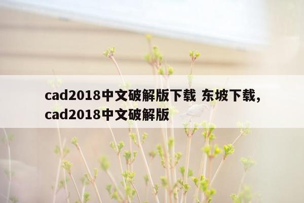 cad2018中文破解版下载 东坡下载,cad2018中文破解版