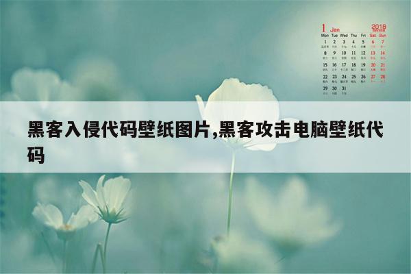 黑客入侵代码壁纸图片,黑客攻击电脑壁纸代码