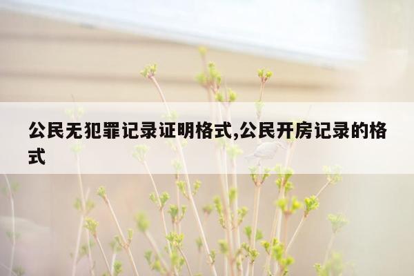 公民无犯罪记录证明格式,公民开房记录的格式