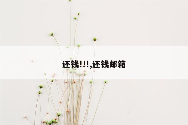 还钱!!!,还钱邮箱