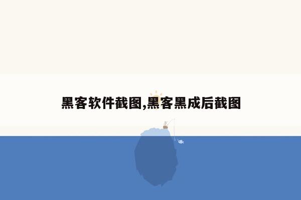 黑客软件截图,黑客黑成后截图