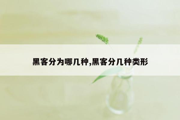 黑客分为哪几种,黑客分几种类形