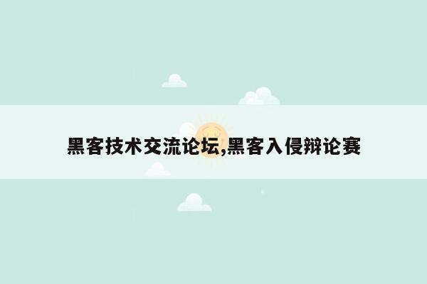 黑客技术交流论坛,黑客入侵辩论赛