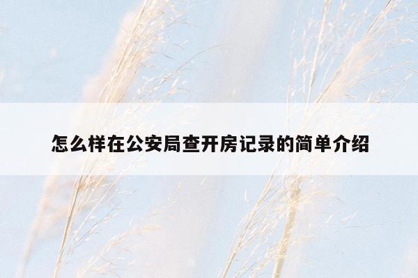 怎么样在公安局查开房记录的简单介绍