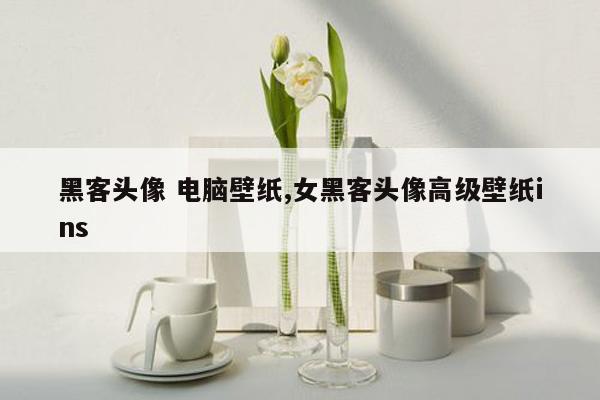 黑客头像 电脑壁纸,女黑客头像高级壁纸ins