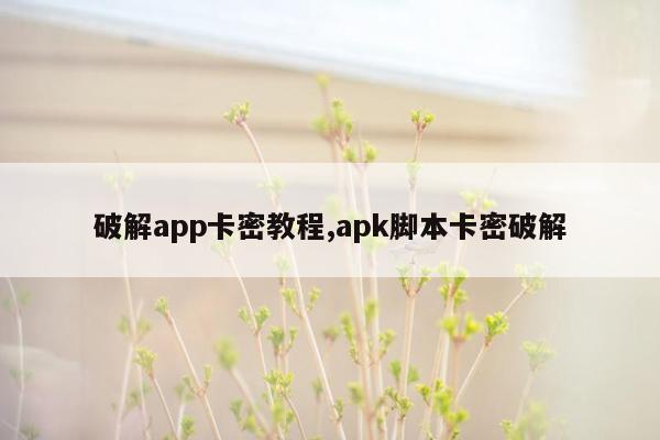 破解app卡密教程,apk脚本卡密破解