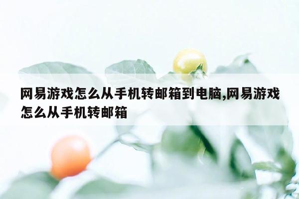 网易游戏怎么从手机转邮箱到电脑,网易游戏怎么从手机转邮箱