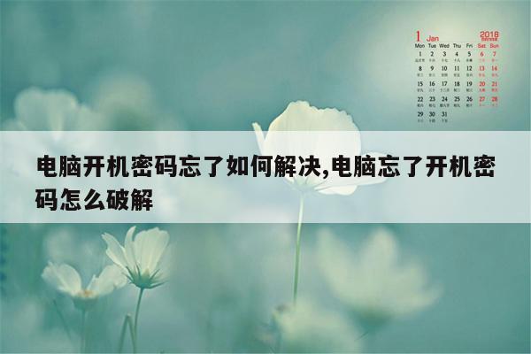 电脑开机密码忘了如何解决,电脑忘了开机密码怎么破解