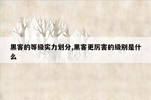 黑客的等级实力划分,黑客更厉害的级别是什么