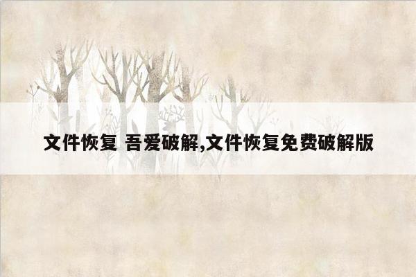 文件恢复 吾爱破解,文件恢复免费破解版