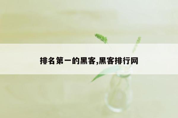 排名第一的黑客,黑客排行网