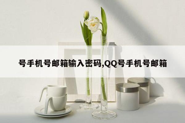 号手机号邮箱输入密码,QQ号手机号邮箱