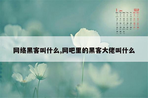 网络黑客叫什么,网吧里的黑客大佬叫什么