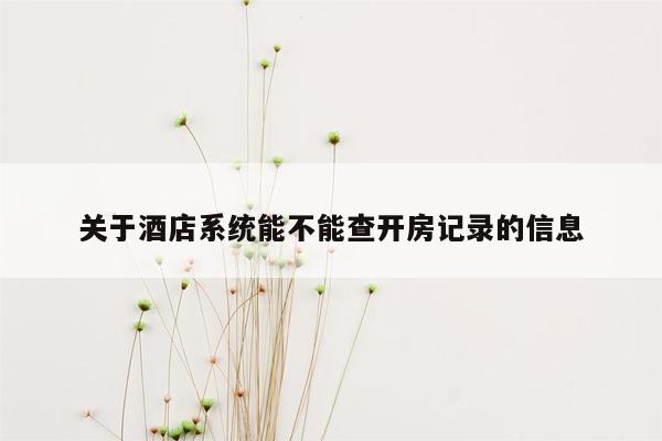 关于酒店系统能不能查开房记录的信息