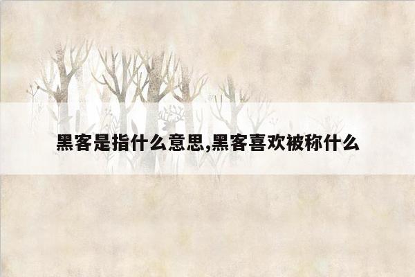 黑客是指什么意思,黑客喜欢被称什么