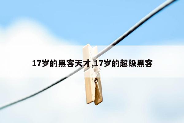 17岁的黑客天才,17岁的超级黑客