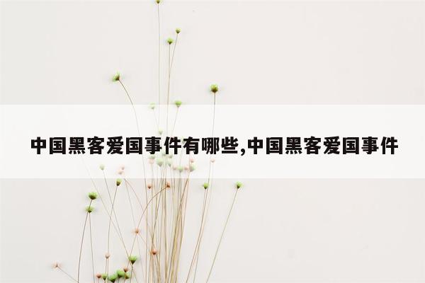 中国黑客爱国事件有哪些,中国黑客爱国事件