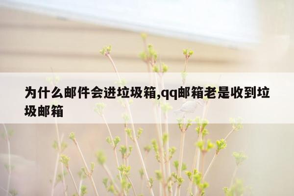 为什么邮件会进垃圾箱,qq邮箱老是收到垃圾邮箱