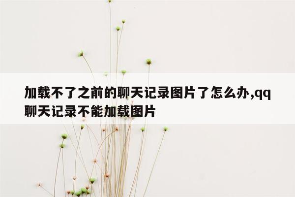 加载不了之前的聊天记录图片了怎么办,qq聊天记录不能加载图片