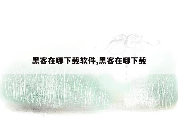 黑客在哪下载软件,黑客在哪下载