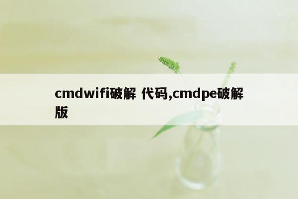 cmdwifi破解 代码,cmdpe破解版