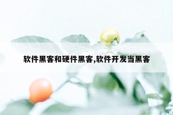 软件黑客和硬件黑客,软件开发当黑客