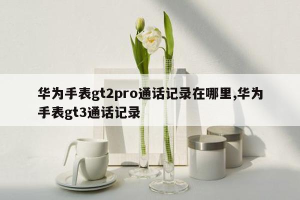 华为手表gt2pro通话记录在哪里,华为手表gt3通话记录