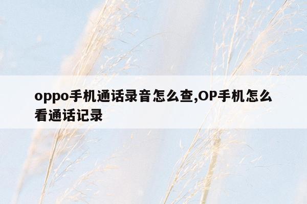 oppo手机通话录音怎么查,OP手机怎么看通话记录