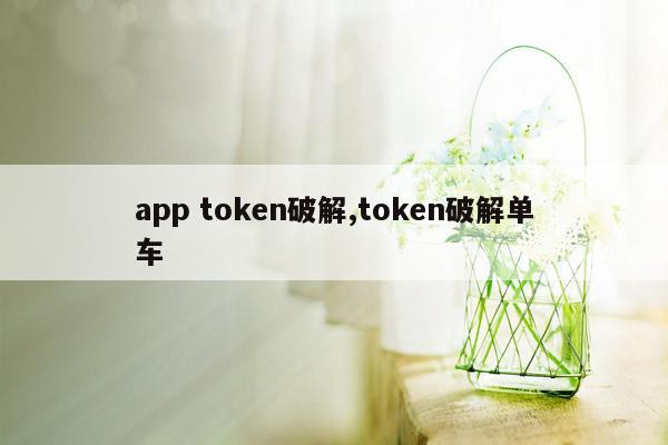 app token破解,token破解单车