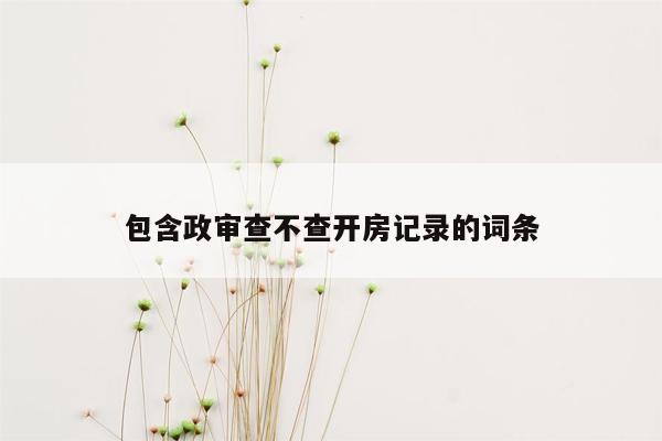 包含政审查不查开房记录的词条