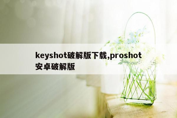 keyshot破解版下载,proshot安卓破解版
